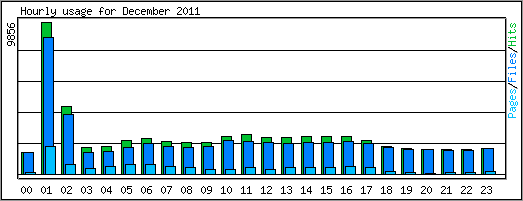 Hourly usage