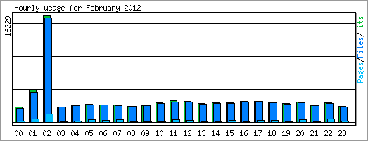 Hourly usage