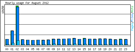 Hourly usage