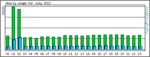 Hourly usage