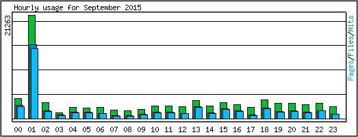 Hourly usage