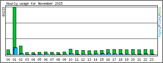 Hourly usage