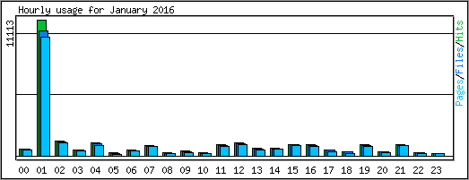 Hourly usage