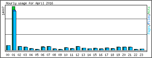 Hourly usage