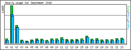 Hourly usage