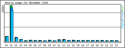 Hourly usage