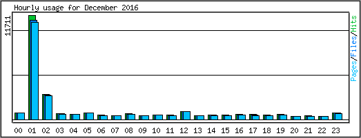Hourly usage