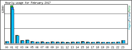 Hourly usage