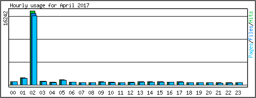 Hourly usage