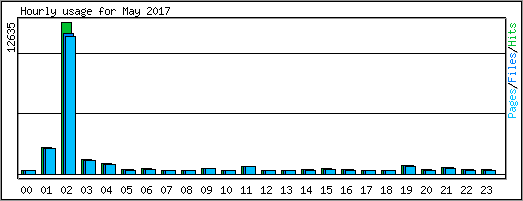 Hourly usage