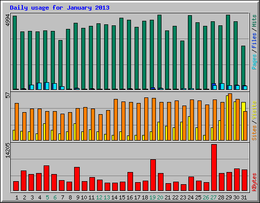 Daily usage for January 2013