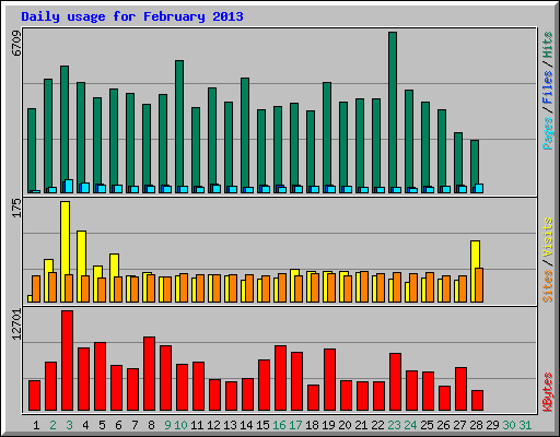 Daily usage for February 2013