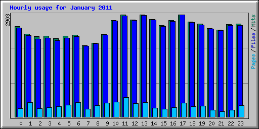 Hourly usage for January 2011
