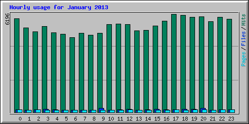 Hourly usage for January 2013
