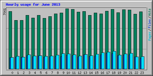 Hourly usage for June 2013
