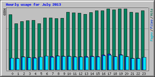 Hourly usage for July 2013