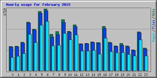 Hourly usage for February 2015