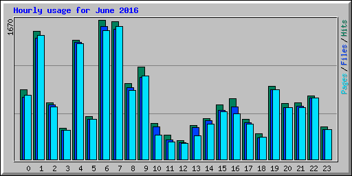 Hourly usage for June 2016