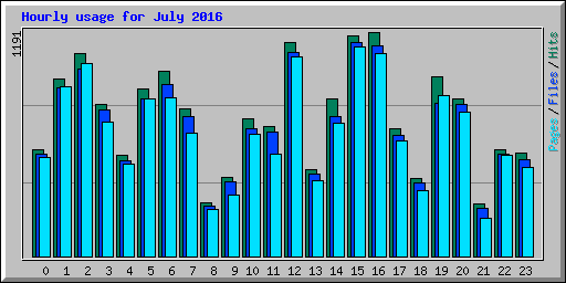 Hourly usage for July 2016