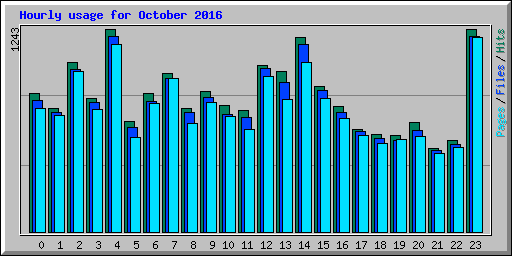 Hourly usage for October 2016