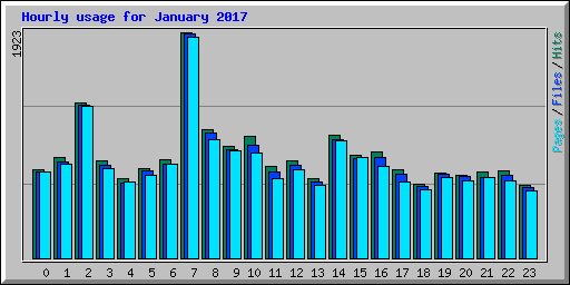 Hourly usage for January 2017